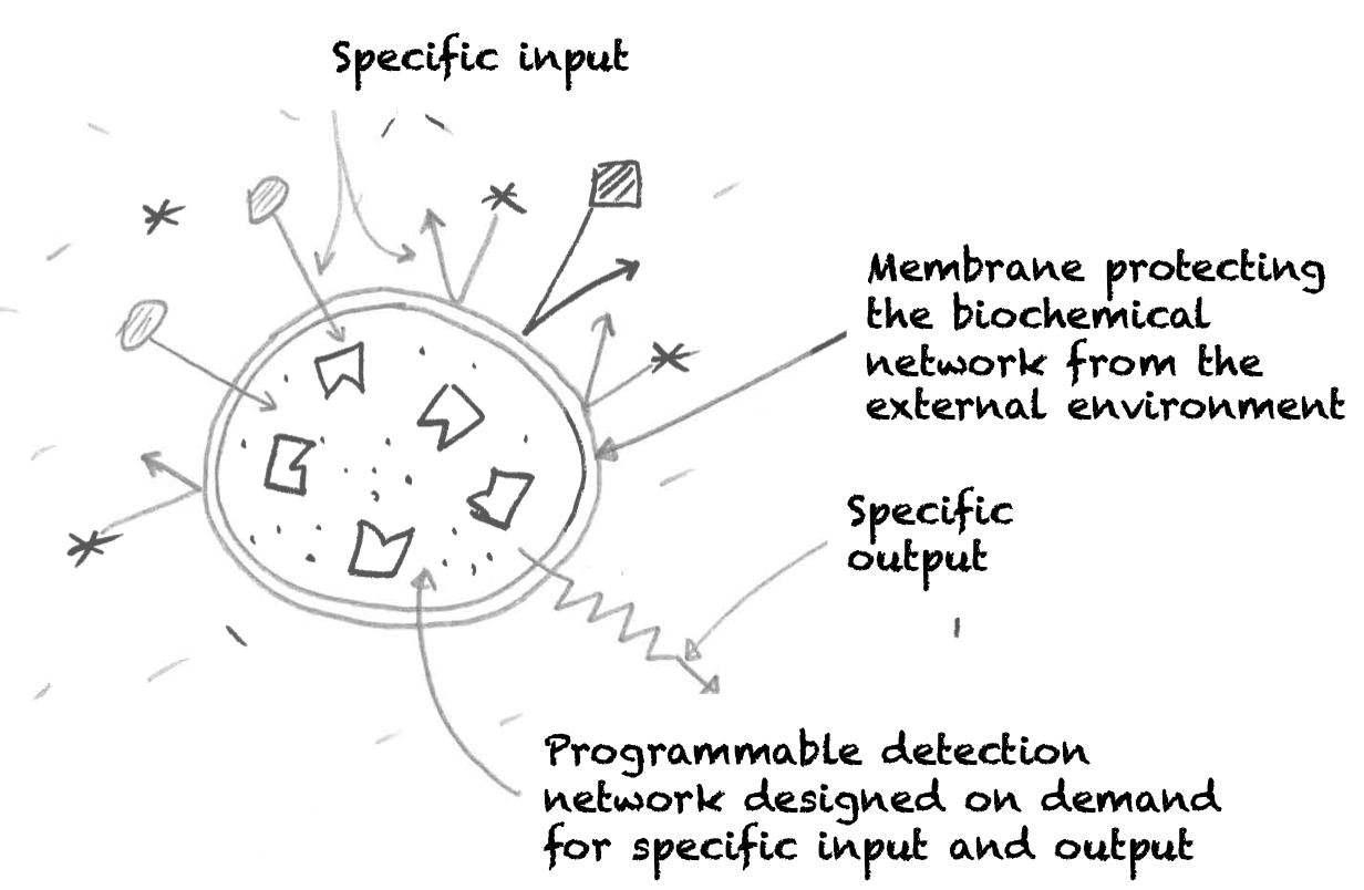 The main advantages of a non-living biomachine