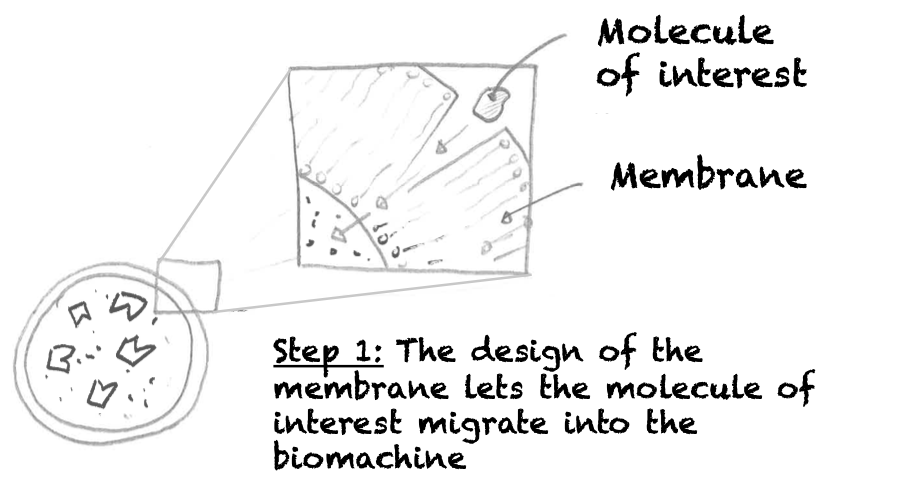 Description of how the non-living biomachines works - Part 1